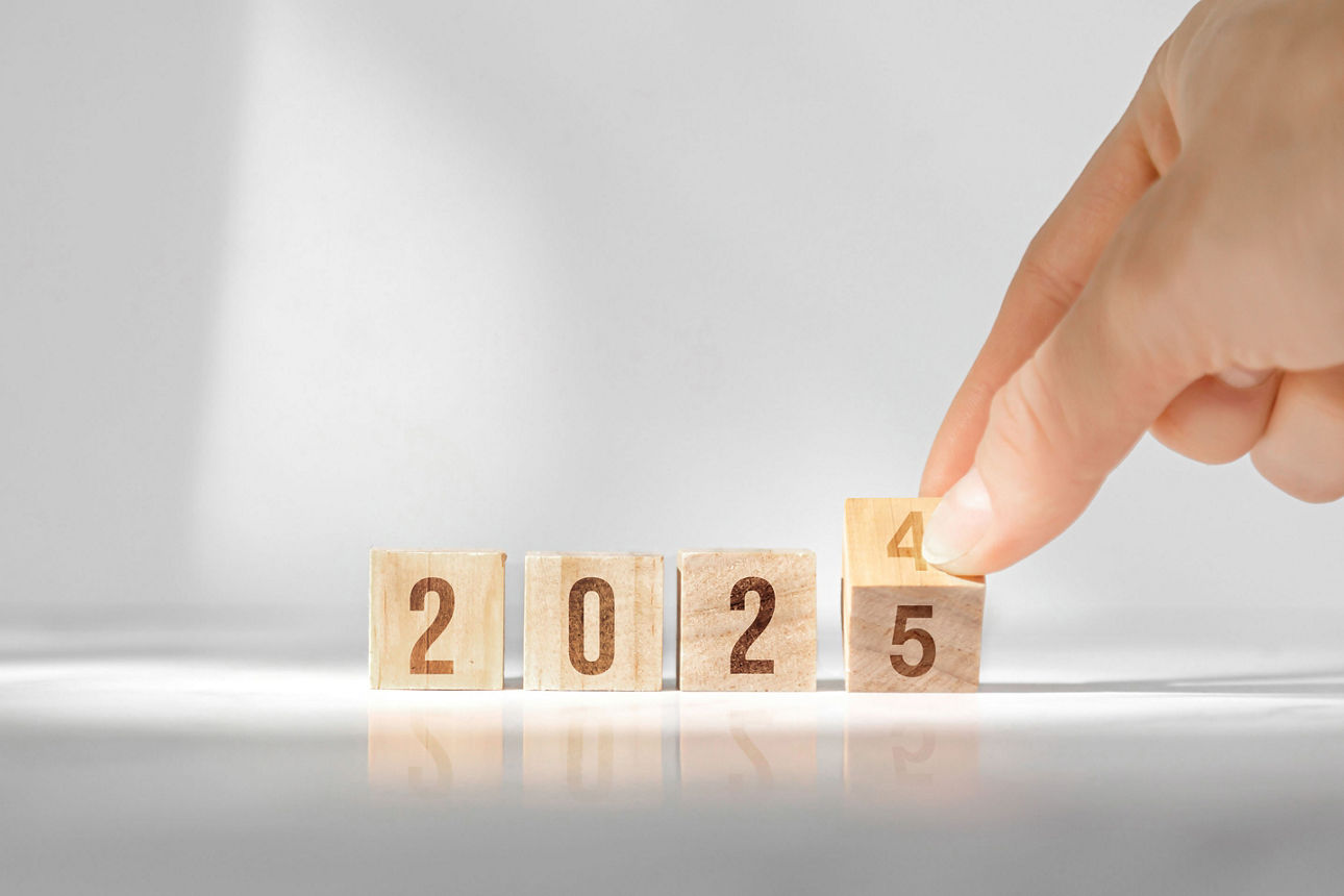 Holzwürfel ändern sich von 2024 auf 2025