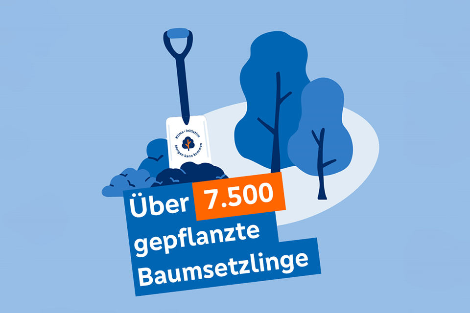 Illustration, die zeigt, wie viele Baumsetzlinge gepflanzt wurden