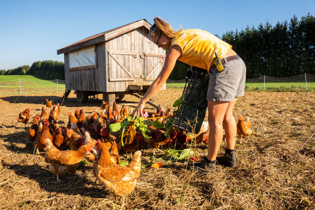 Farmer- und Hobbyfarming Tag 2026