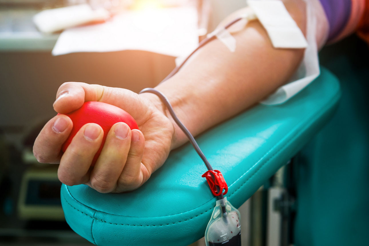 Raiffeisentag 2025 - Band Saustoimusi