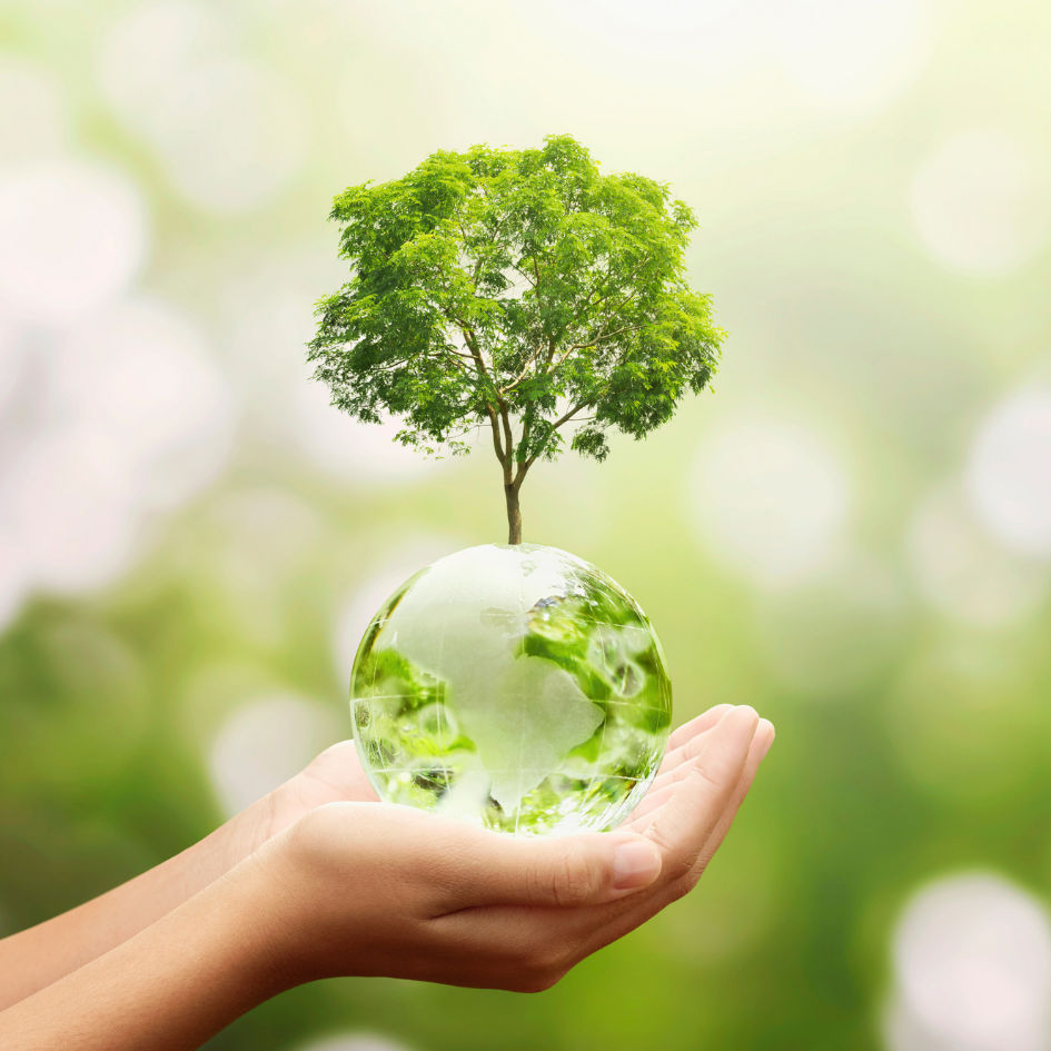 Baum mit Glaskugel in der Hand