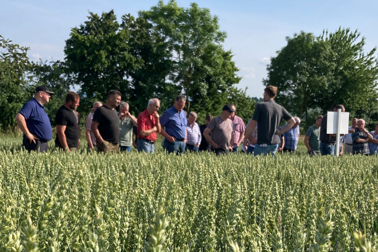 Menschen stehen in der Mitte von einem Feld