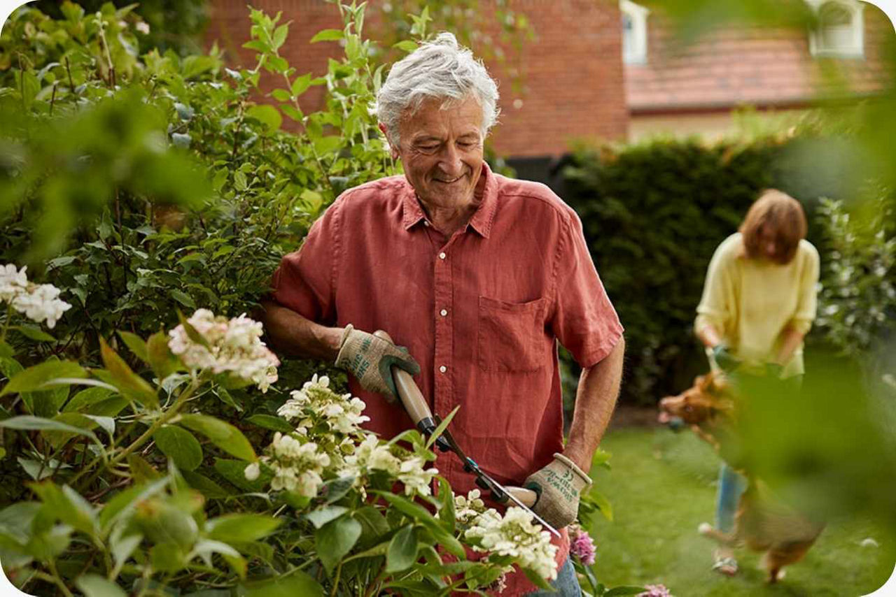 Älterer Mann schneidet die Hecke mit einer Heckenschere und lächelt dabei