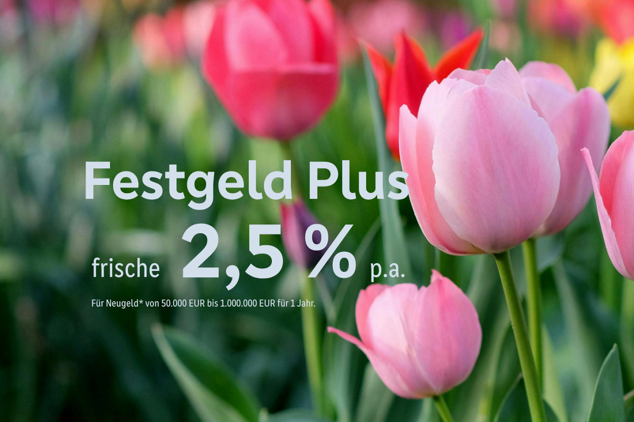 Kürbisse auf einem Feld