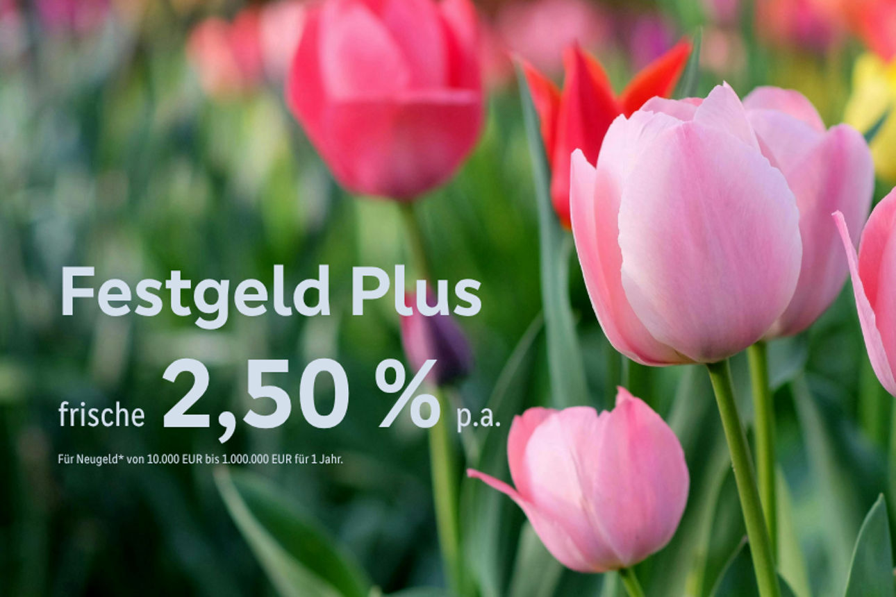 Kürbisse auf einem Feld