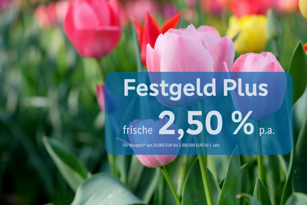 Festgeld Plus