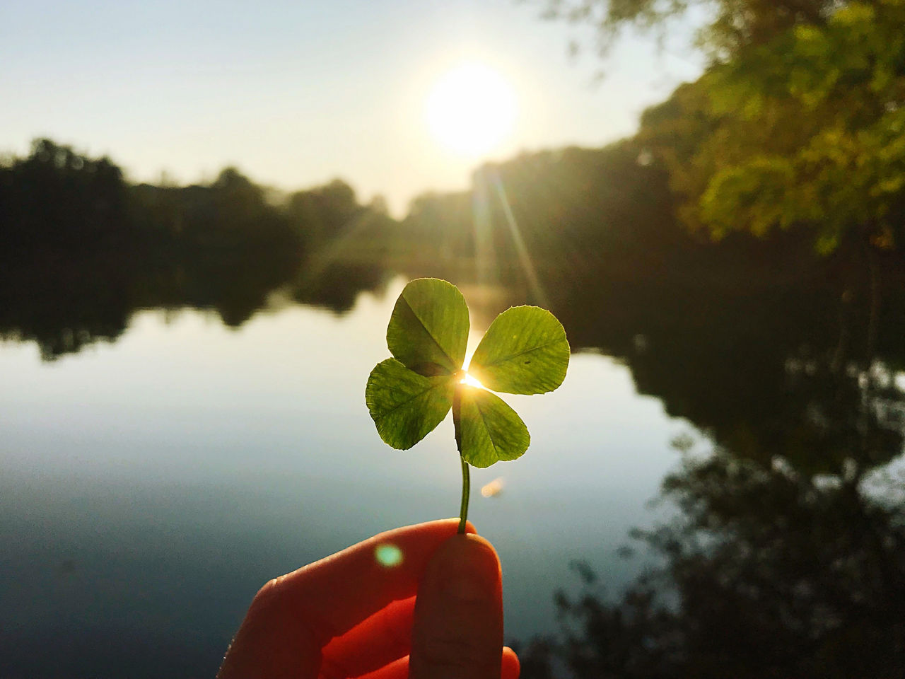 Vor einem See hält eine Hand ein vierblättriges Kleeblatt gegen die Sonne