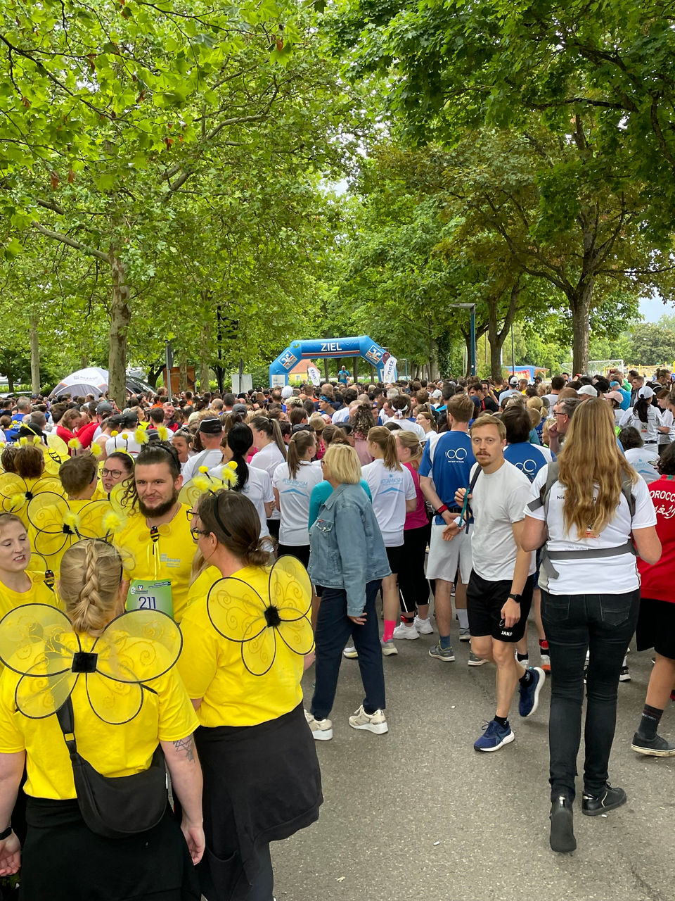 Bild von der Veranstaltung VR Bank Firmenlauf Amberg-Sulzbach 2025