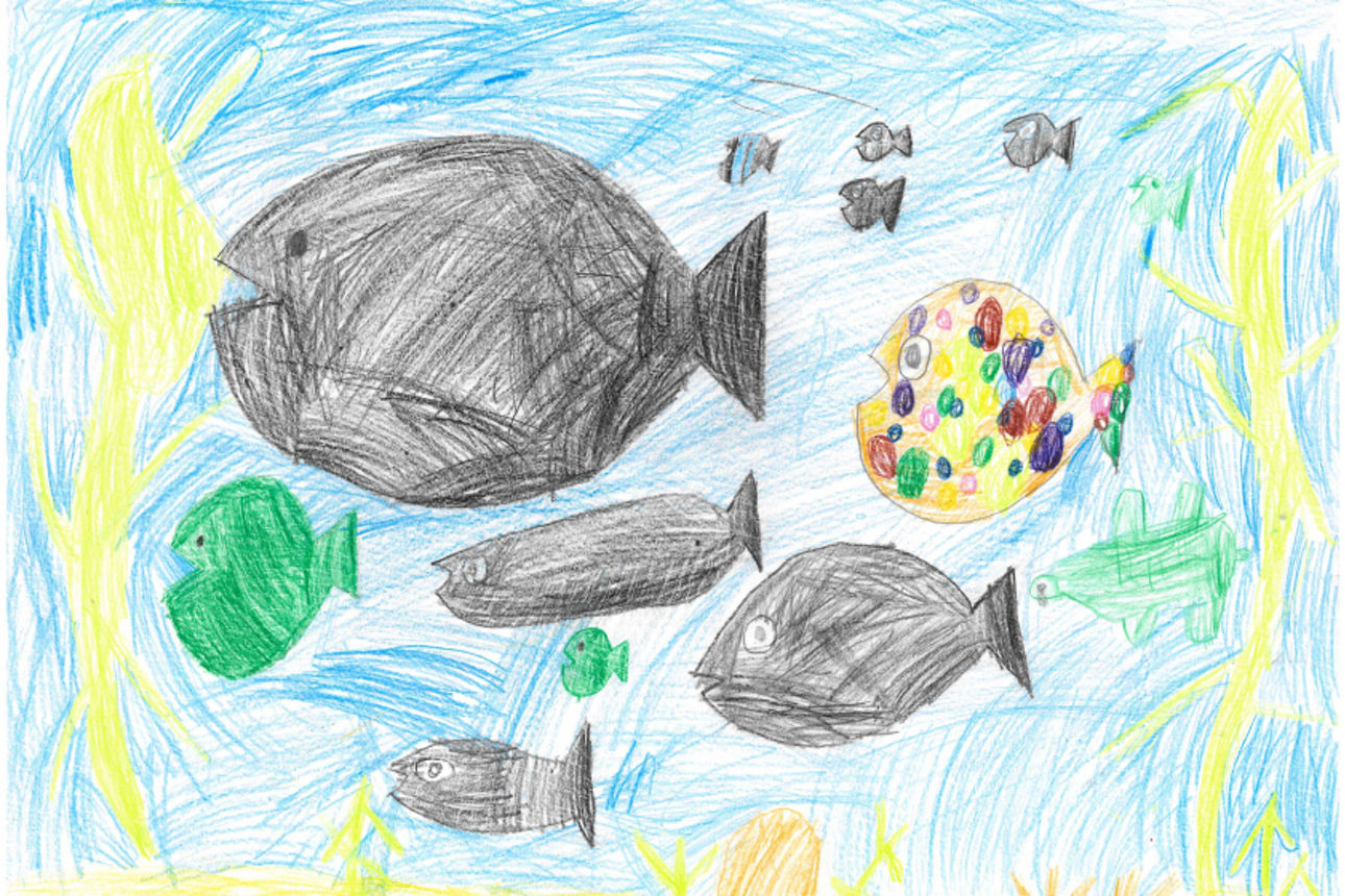 Fische im Meer_Lasse Warnecke_1-2 Kl
