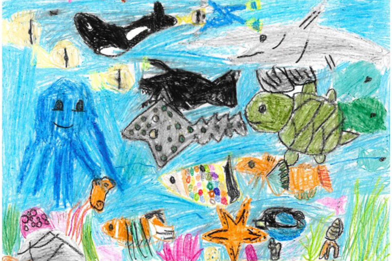 Fische_Nuran Richter_1-2 Kl