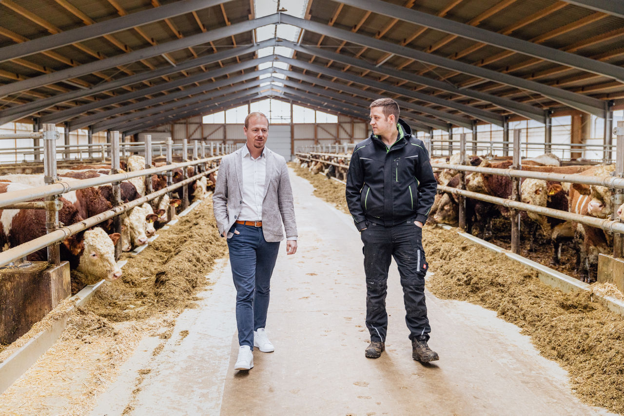 Berater Florian Abschütz und Markus Fischer befinden sich im Innenbereich eines weitläufigen Tierwohl‑Stalls mit Rinderbeständen an beiden Futterlinien. Die Dachkonstruktion, die Laufgänge sowie die Fütterungsbereiche sind vollständig erkennbar und zeigen die offene Stallbauweise