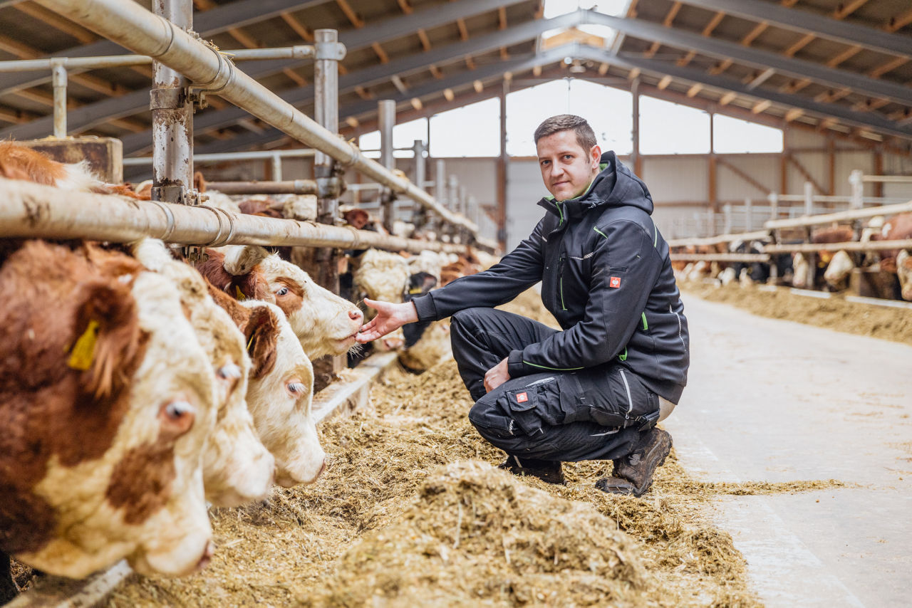 Markus Fischer befindet sich mit Rindern an der Futterlinie in einem Tierwohl‑Stall mit Stroheinstreu. Gut erkennbar sind der Futtertisch, die offene Stallkonstruktion sowie die strukturierte Gestaltung des Stallinnenraums