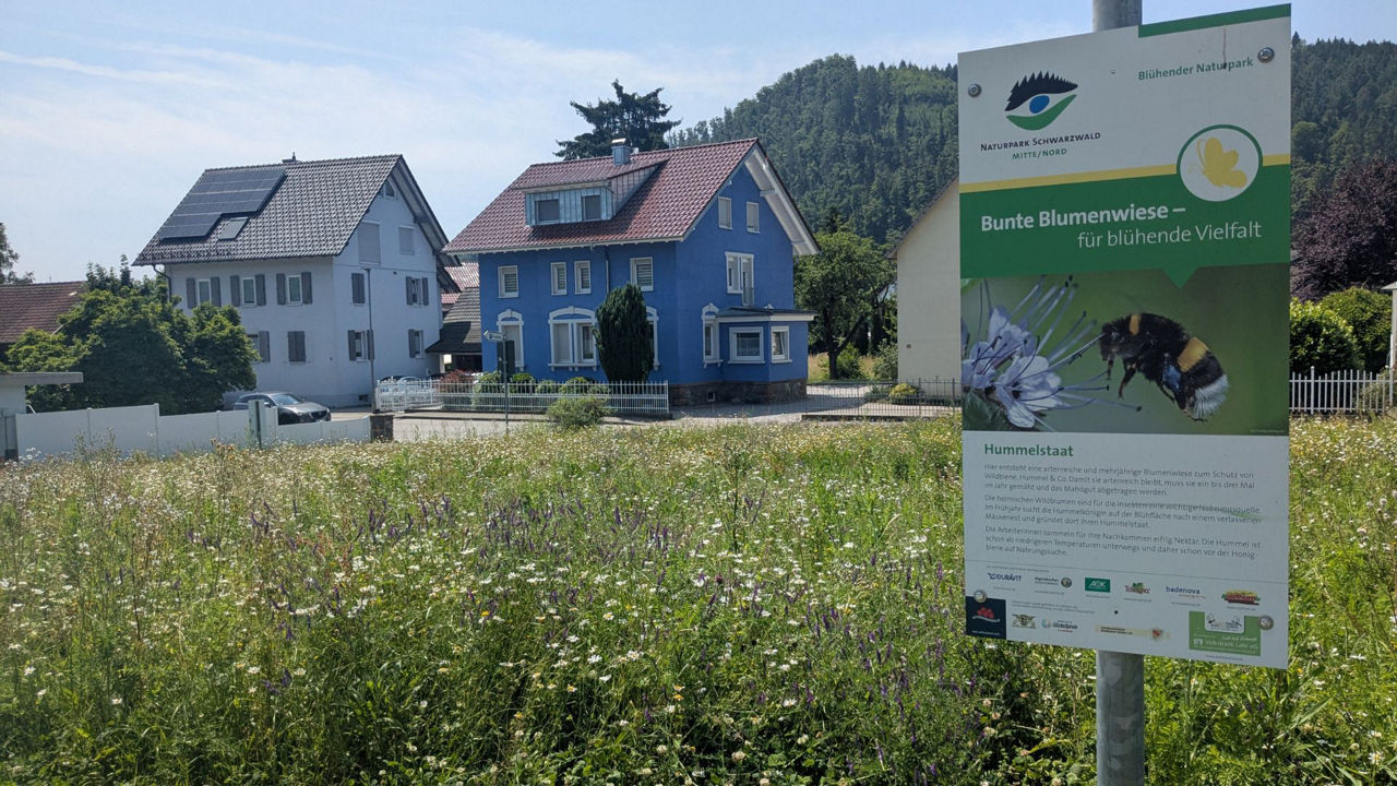 Flächen gesucht