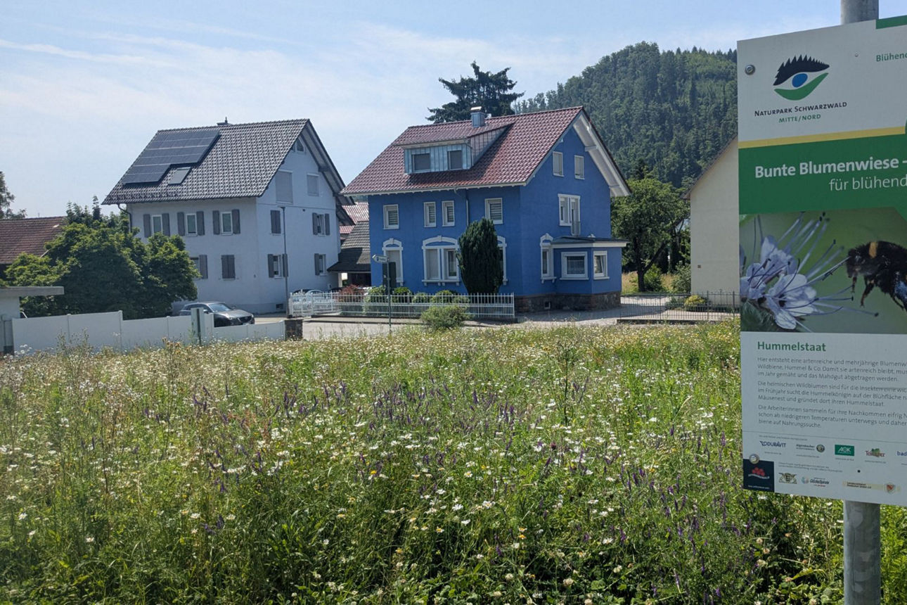 Flächen gesucht