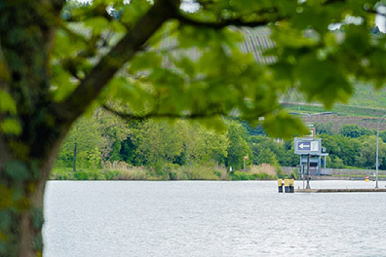 Bild eines Schiffes auf einem Fluss