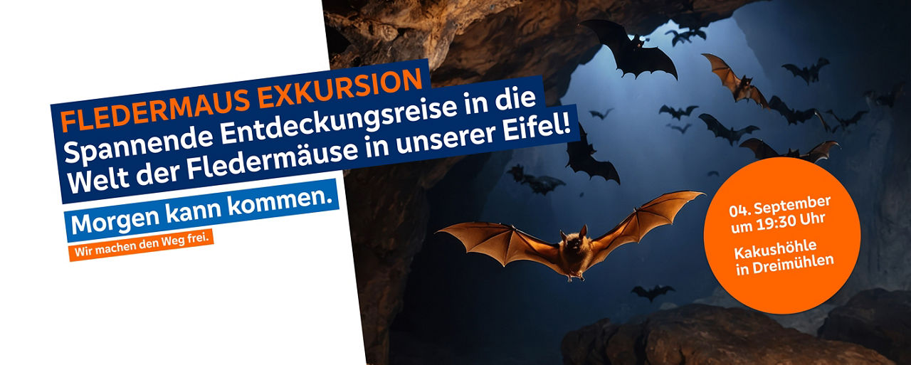 Zu sehen sind Fledermäuse
