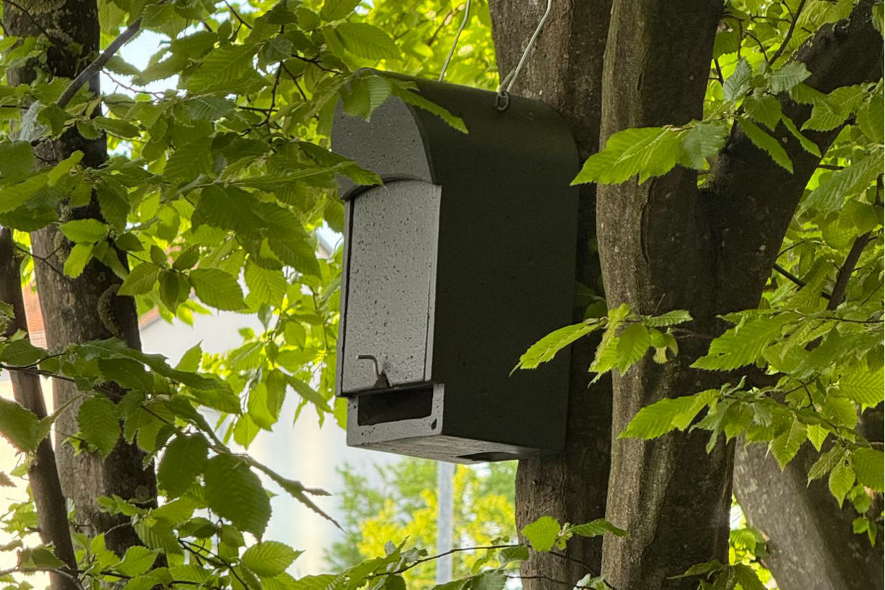 Fledermauskasten auf dem DonauTower