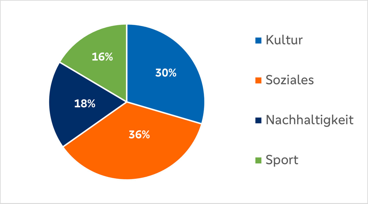 Kreisdiagramm zur Veranschaulichung der Spendensummen in 2024