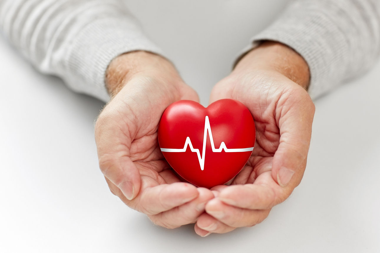 älterer Mann, der ein rotes Herz mit einer EKG-Linie hält