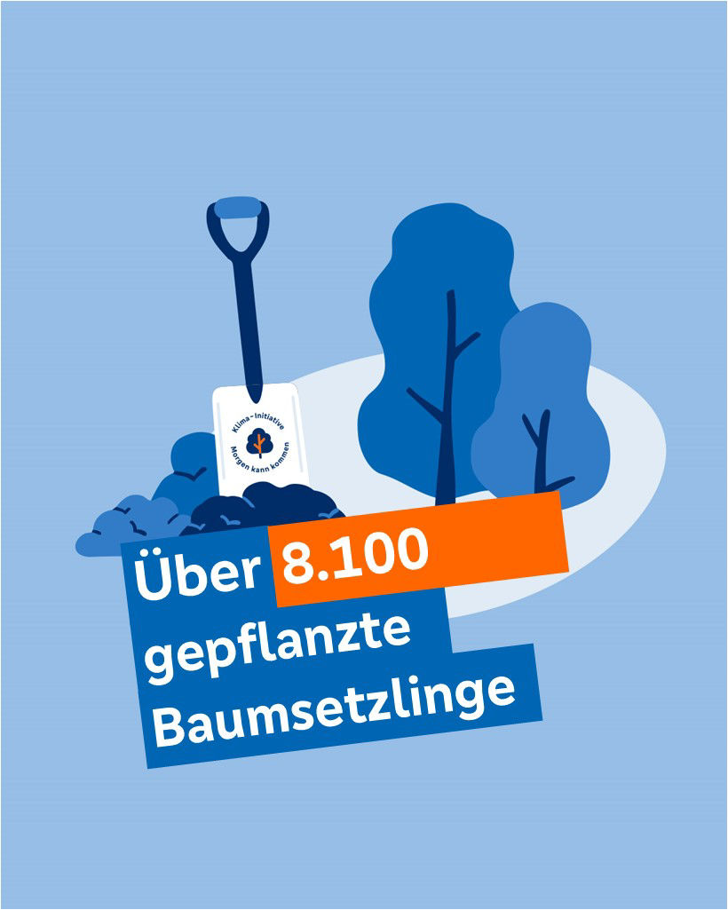 Illustration, die zeigt, wie viele Baumsetzlinge gepflanzt wurden