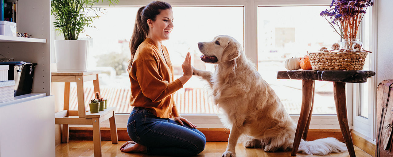 Bildquelle: istock.com/evablanco