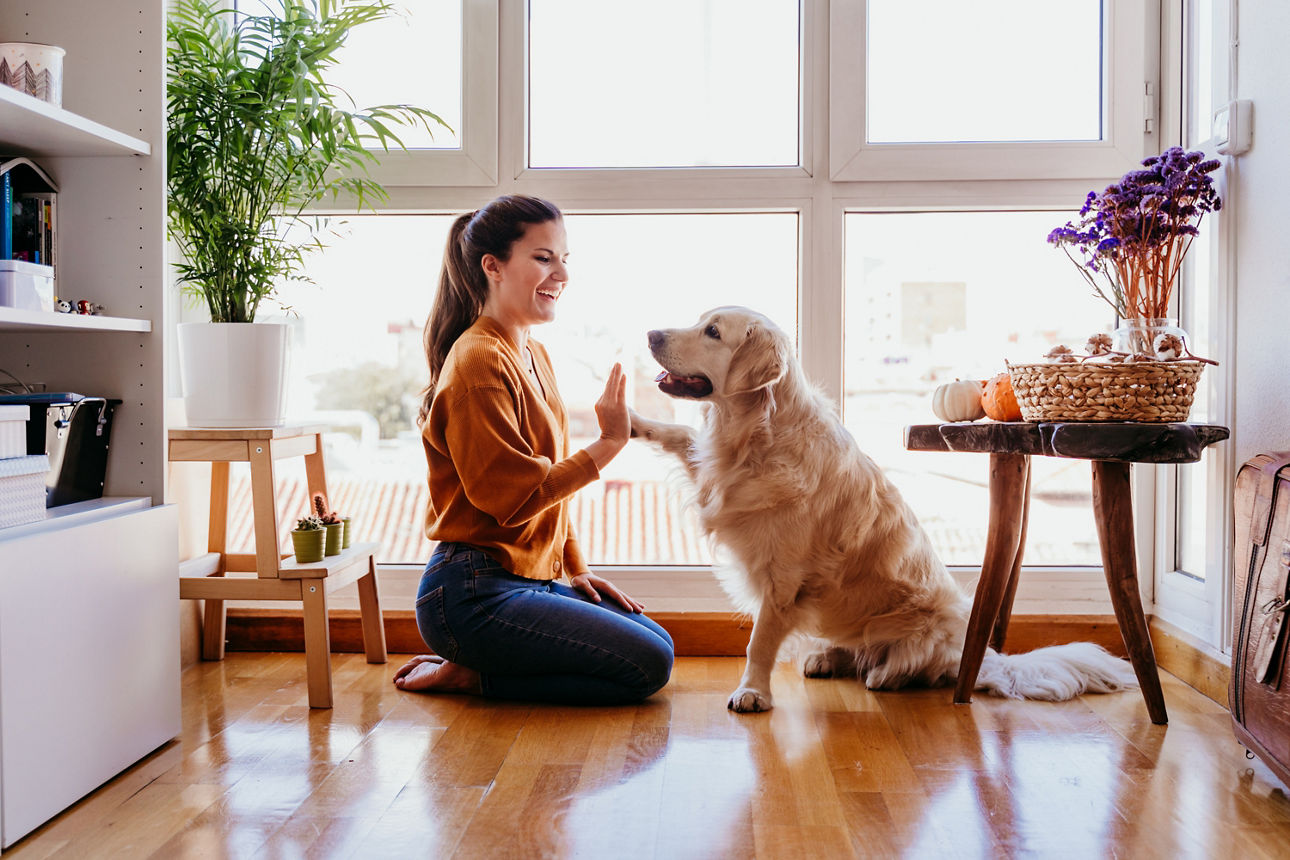 Bildquelle: istock.com/evablanco