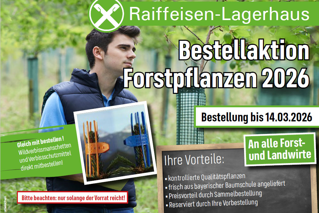 Flyer zur Bestellaktion Forstpflanzen