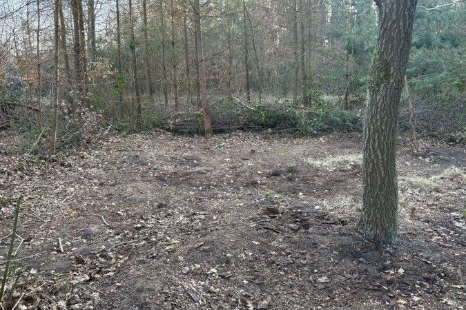 Naturlandschaft Selker Noor