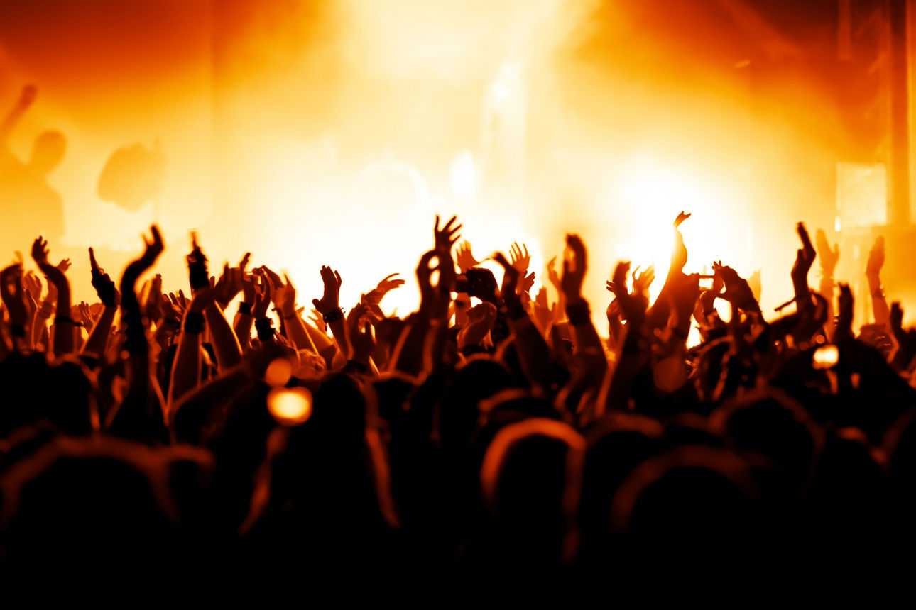 Jubelnde Konzertbesucher auf Rock-Konzert