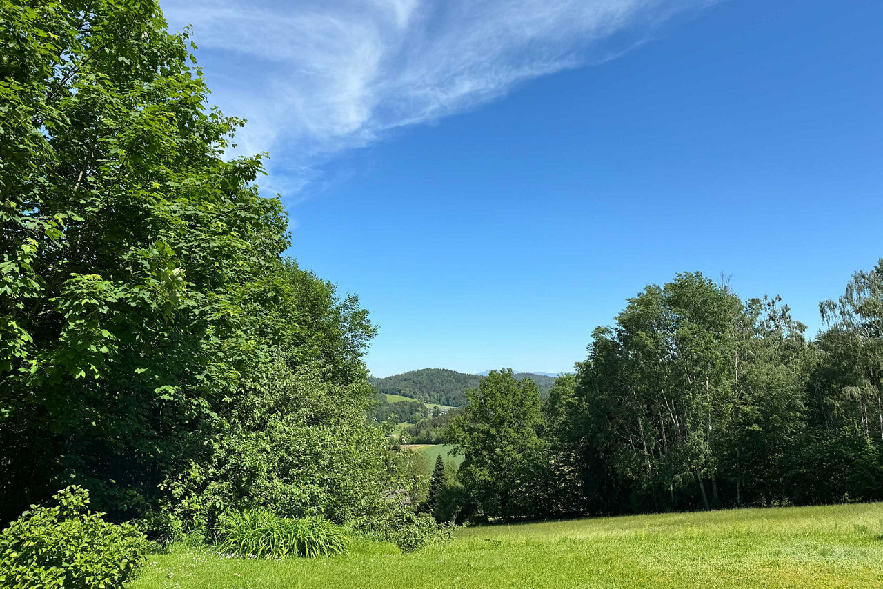 Blick auf eine sonnige Landschaft mit grünen Wiesen und Bäumen unter einem strahlend blauen Himmel mit leichten Wolken.