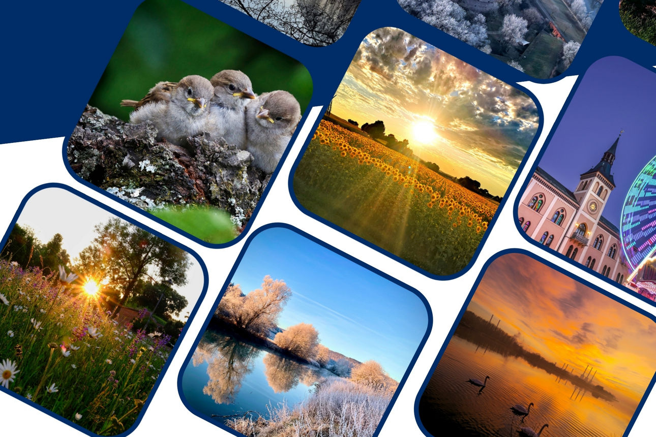 Bild mit verschiedenen Motiven aus dem letzten Fotowettbewerb
