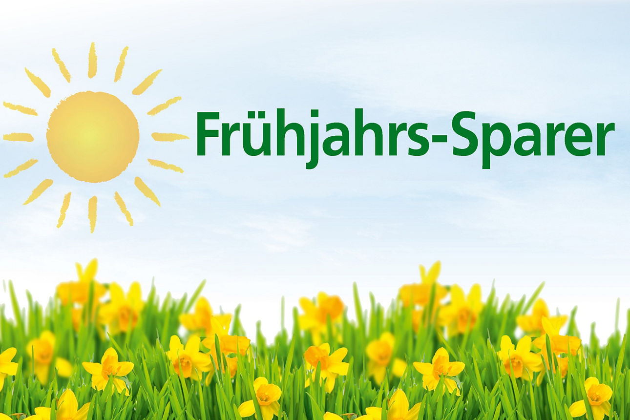 Illustriertes Sonne und ein blauer Himmel mit einem Osterglockenfeld im Vordergrund. 