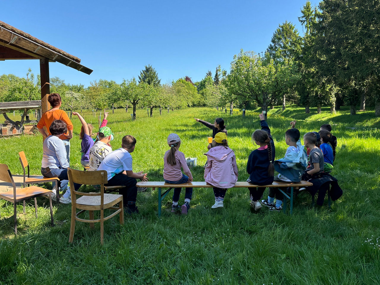 Kinder sitzen auf einer Bank auf einer Wiese mit Obstbäumen.