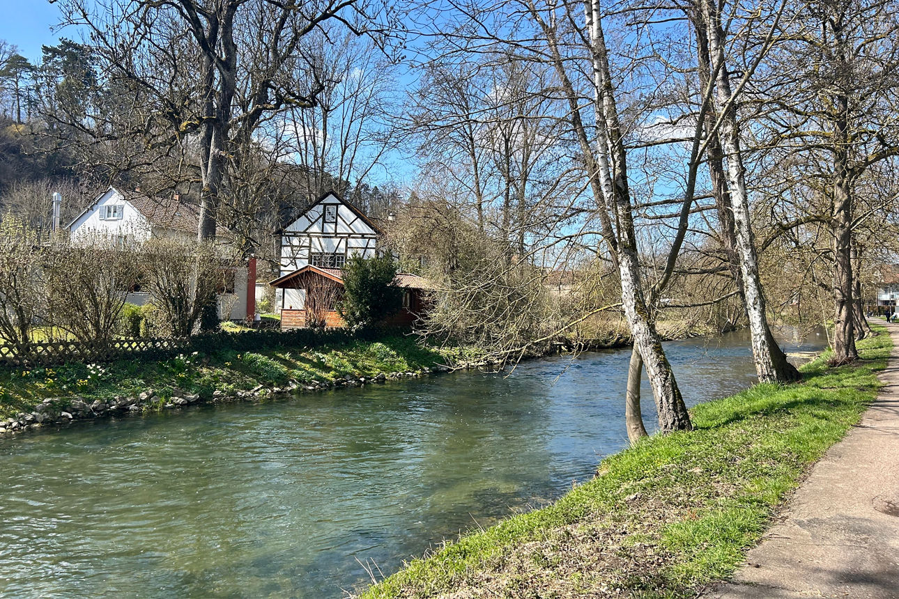 Die Brenz fließt an einem sonnigen Frühlingstag durch Giengen, gesäumt von grünen Uferwiesen, Bäumen und historischen 