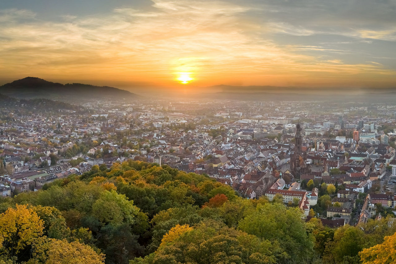 Aussicht auf die Freiburger Innenstadt