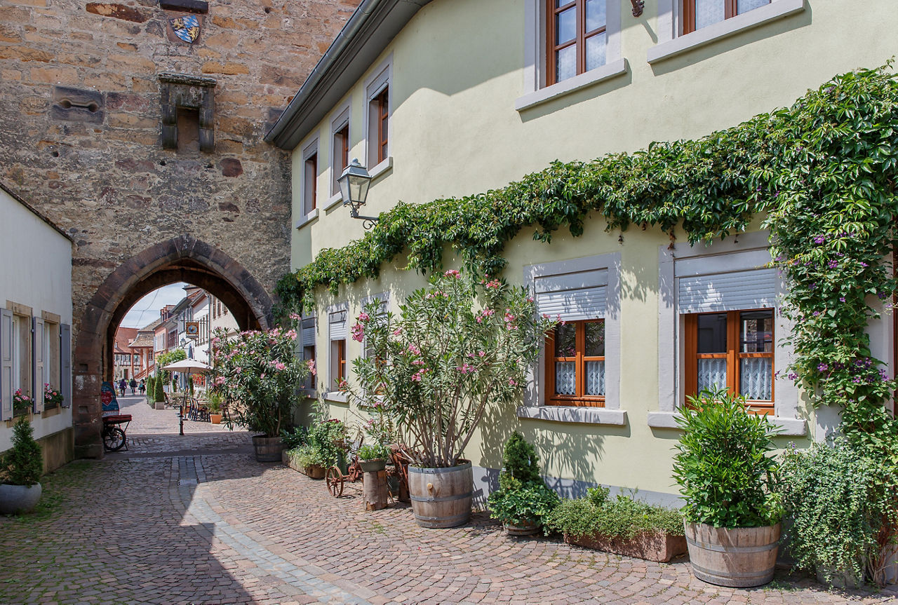 Immobilien in Freinsheim