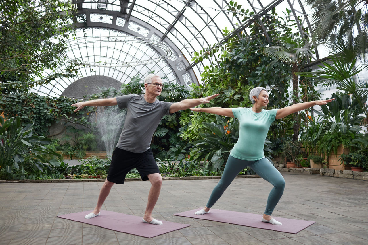 Ein älteres Paar machen Yoga, im Hintergrund sind viele verschiedene Planzen zu sehen