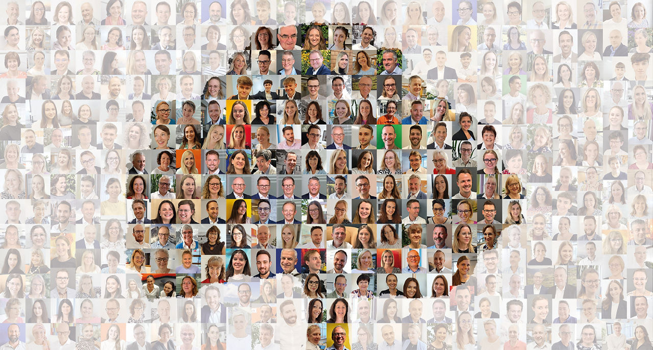 Fusion - Multipicture aus Mitarbeiterbildern hinter einer Baum-Silhouette