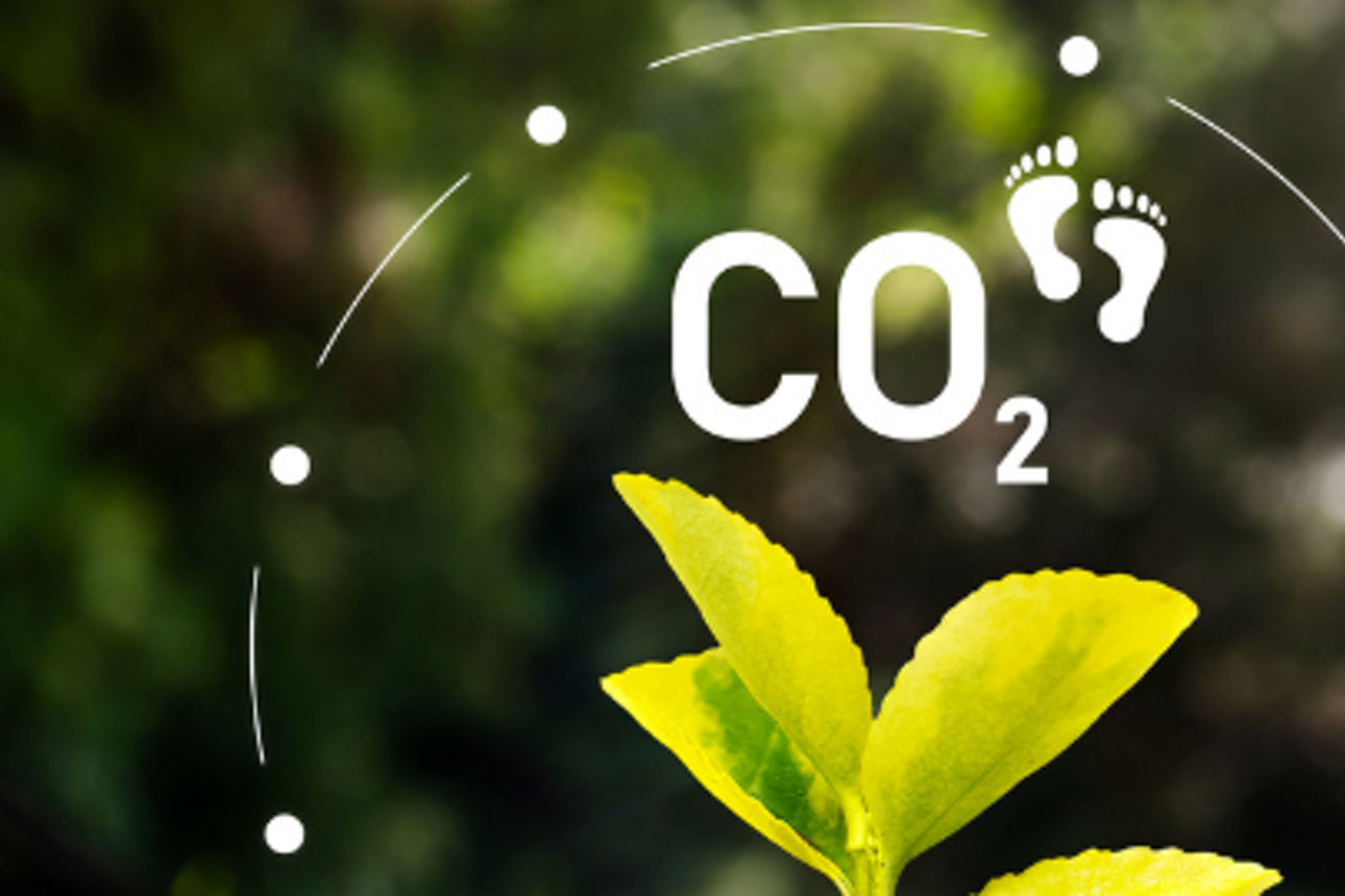 Pflanze mit Icon CO² Fußabdruck