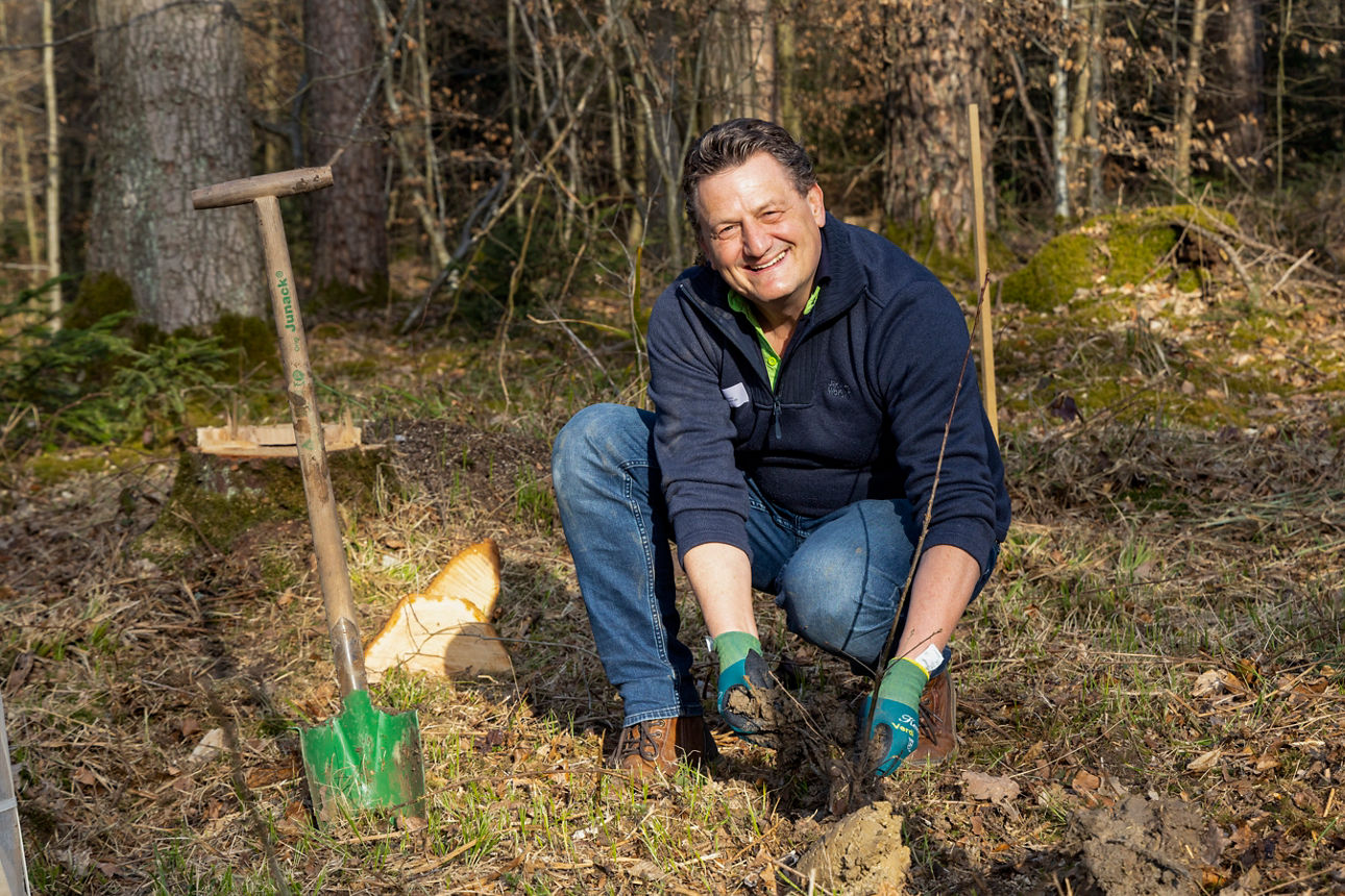 Ein Mann pflanzt einen Baum