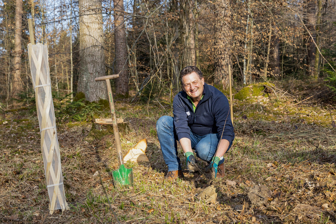 Ein Mann pflanzt einen Baum