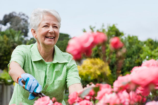 Gartenarbeit