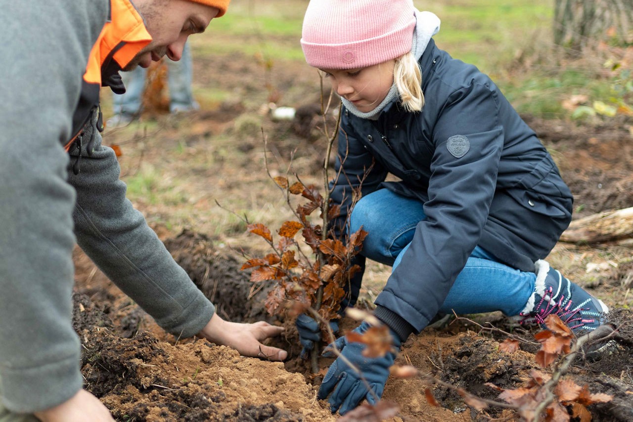 Junges Mädchen pflanzt einen Baum im Wald