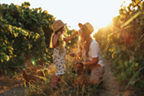Mutter mit Tochter in der Abendsonne im Weinberg.