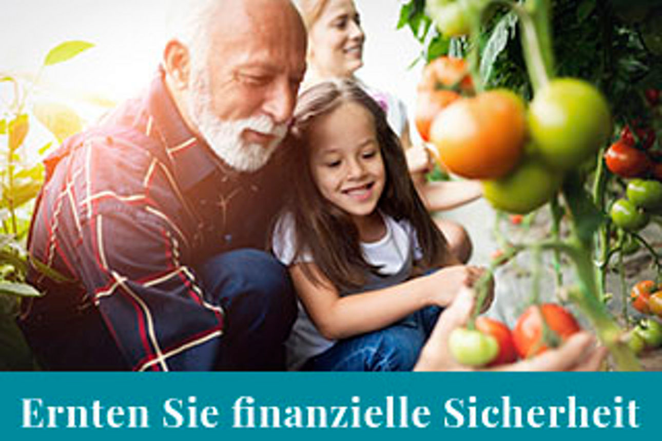 Kind und alter Mann suchen Tomaten aus