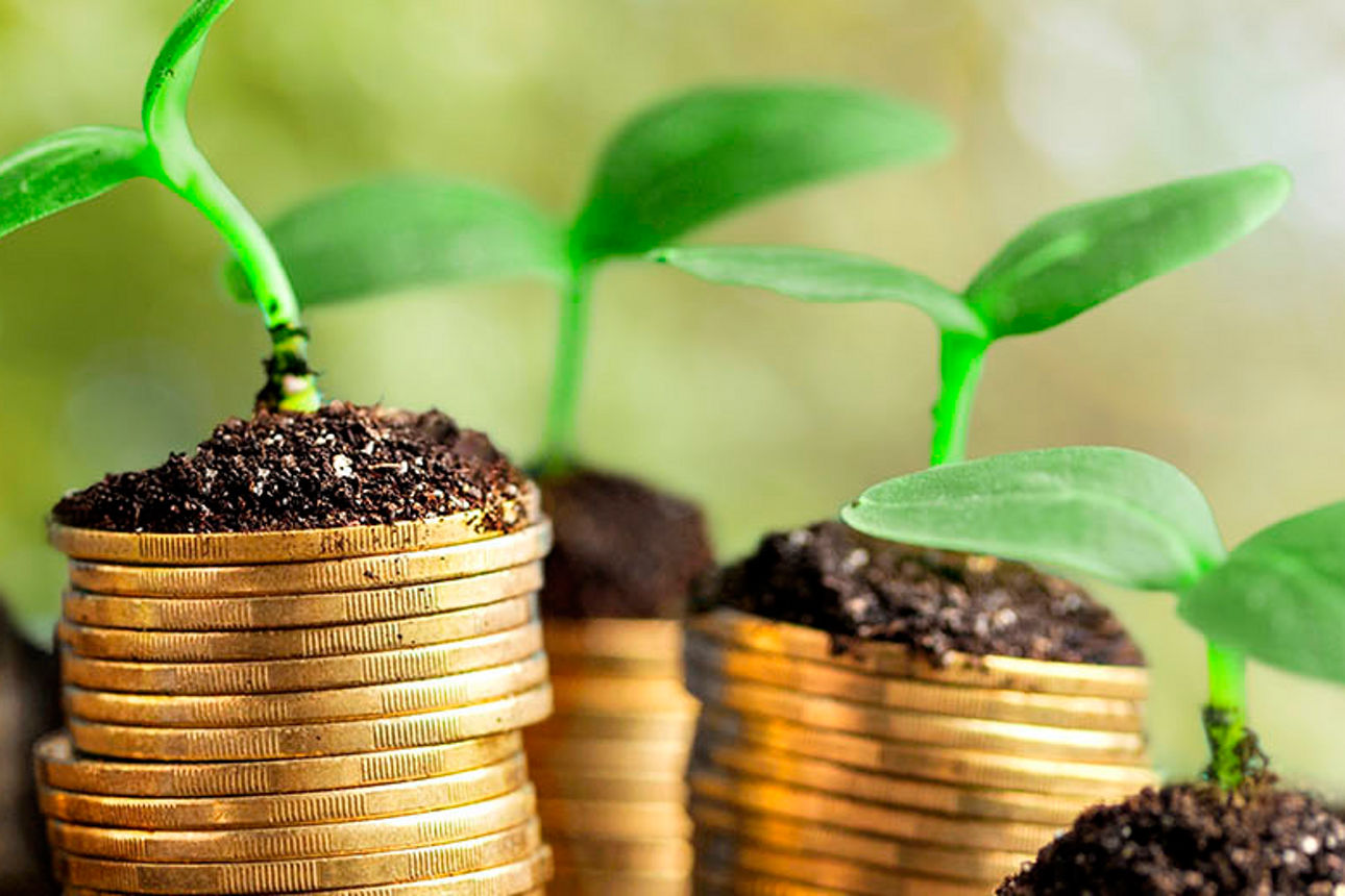 Münzenstapel mit Sprosslingen 