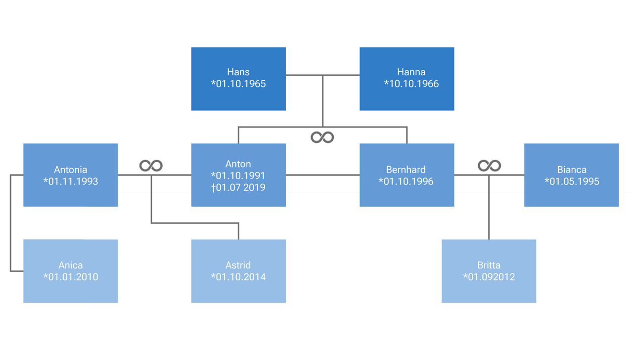 Schematische Darstellung eines Stammbaums
