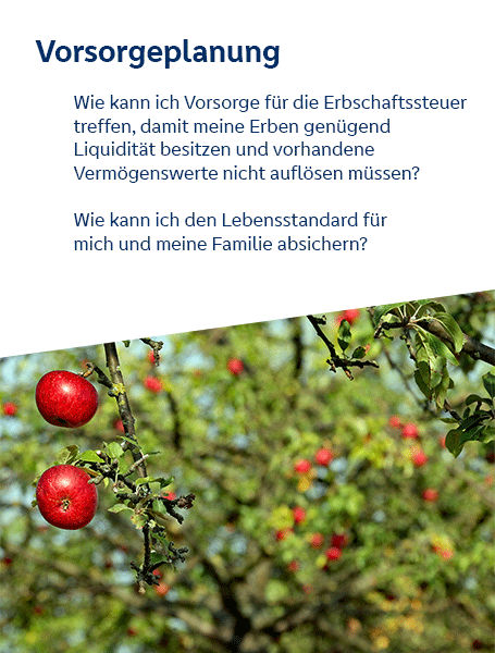 Vorsorgeplanung. Wie kann ich Vorsorge für die Erbschaftssteuer treffen, damit meine Erben genügend Liquidität besitzen und vorhandene Vermögenswerte nicht auflösen müssen? Wie kann ich den Lebensstandard für mich und meine Familie absichern?