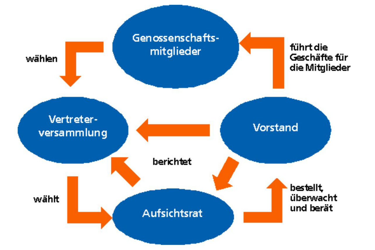 Darstellung des Zusammenspiels der Organe der Raiffeisenbank im Oberland