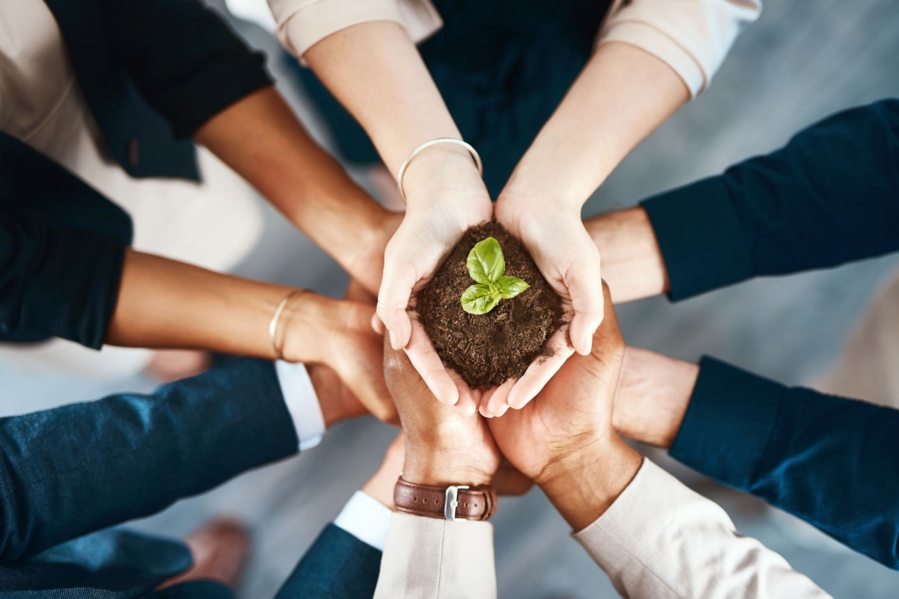 Bild-Alternativer-Text